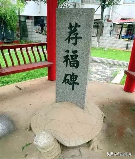 半夜雷轟薦福碑|《半夜雷轰荐福碑》原文与翻译、赏析